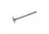 Exhaust Valve:3800341