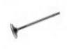 Exhaust Valve:3921444